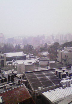 snow.jpg
